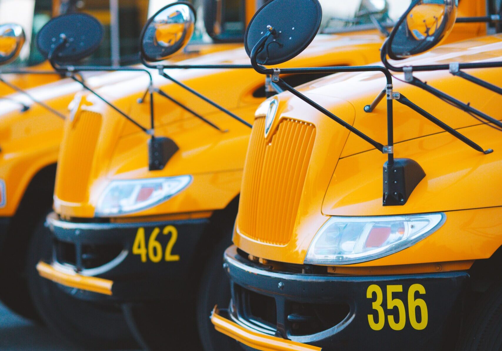 rebaspike-bus-8142339